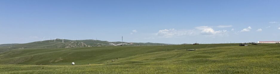 grassland,desert.